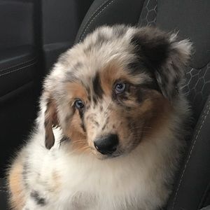 Meet your Posher, Katherine